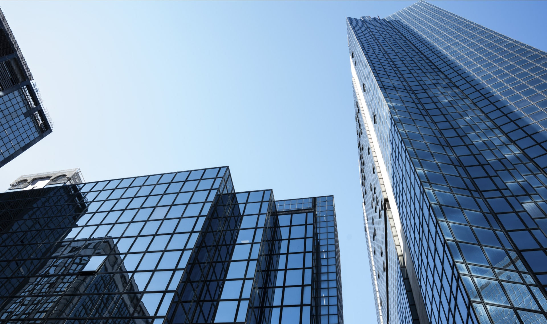 IL_GRANCHIO_SITO_03-min